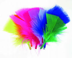 נוצות קטנות